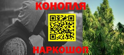 гашик Жуковский