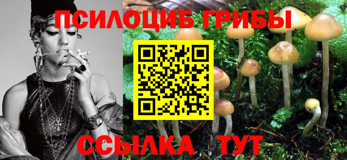 цены   Вход с VPN  Оренбург  Псилоцибиновые грибы MAGIC MUSHROOMS  Псилоцибиновые грибы Cubensis 
